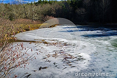 Little Glade Mill Pond Stock Photo